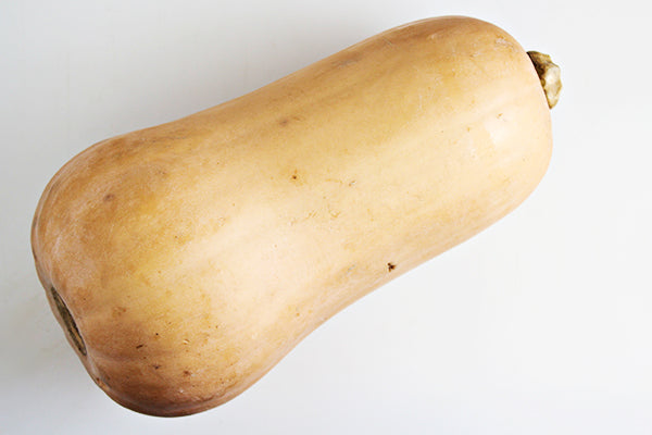 Butternut Squash