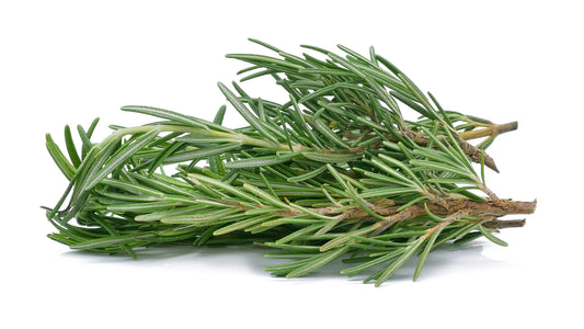 Rosemary 50g