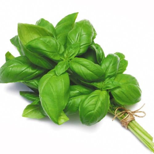 Basil 50g