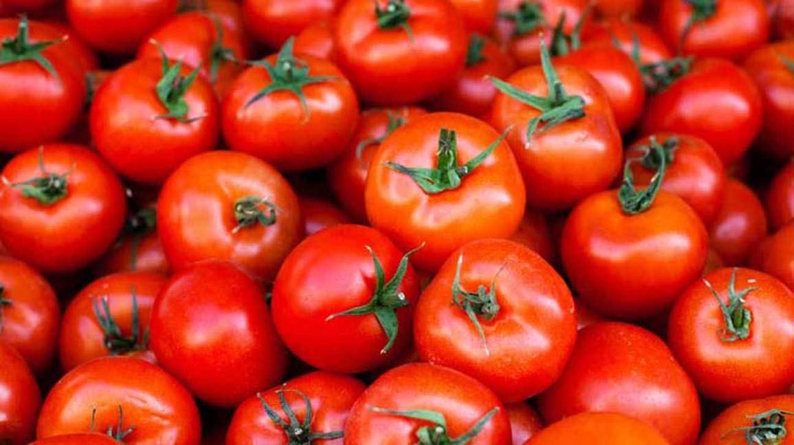Tomatoes - 1kg