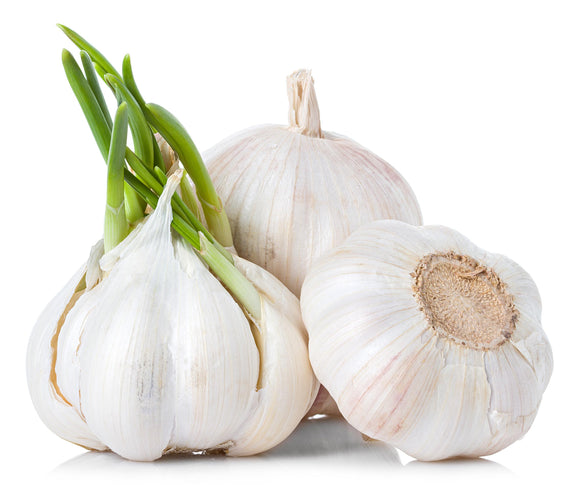 Garlic - 1 bulb